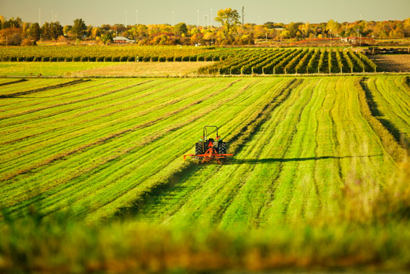 Field with tractor