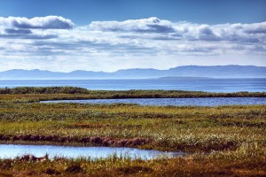 epa-wetlands-conf-pic-cropped