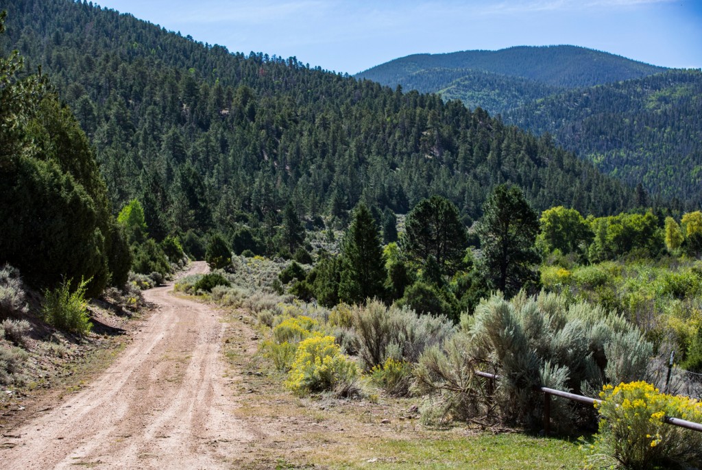 ceilo vista ranch_cropped