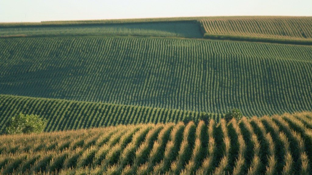 ag_fields 16×9
