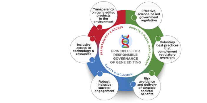 NGO Principles Large Graphic 3