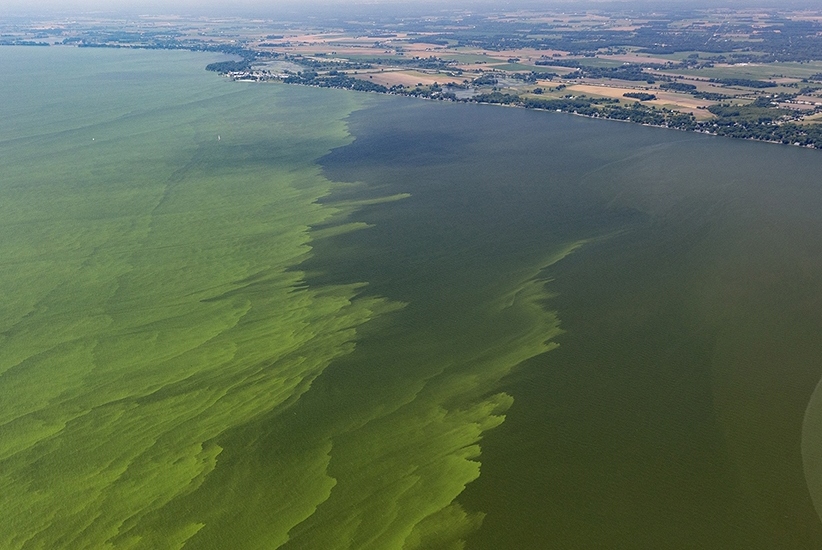 Lake-Erie-algae 3×2