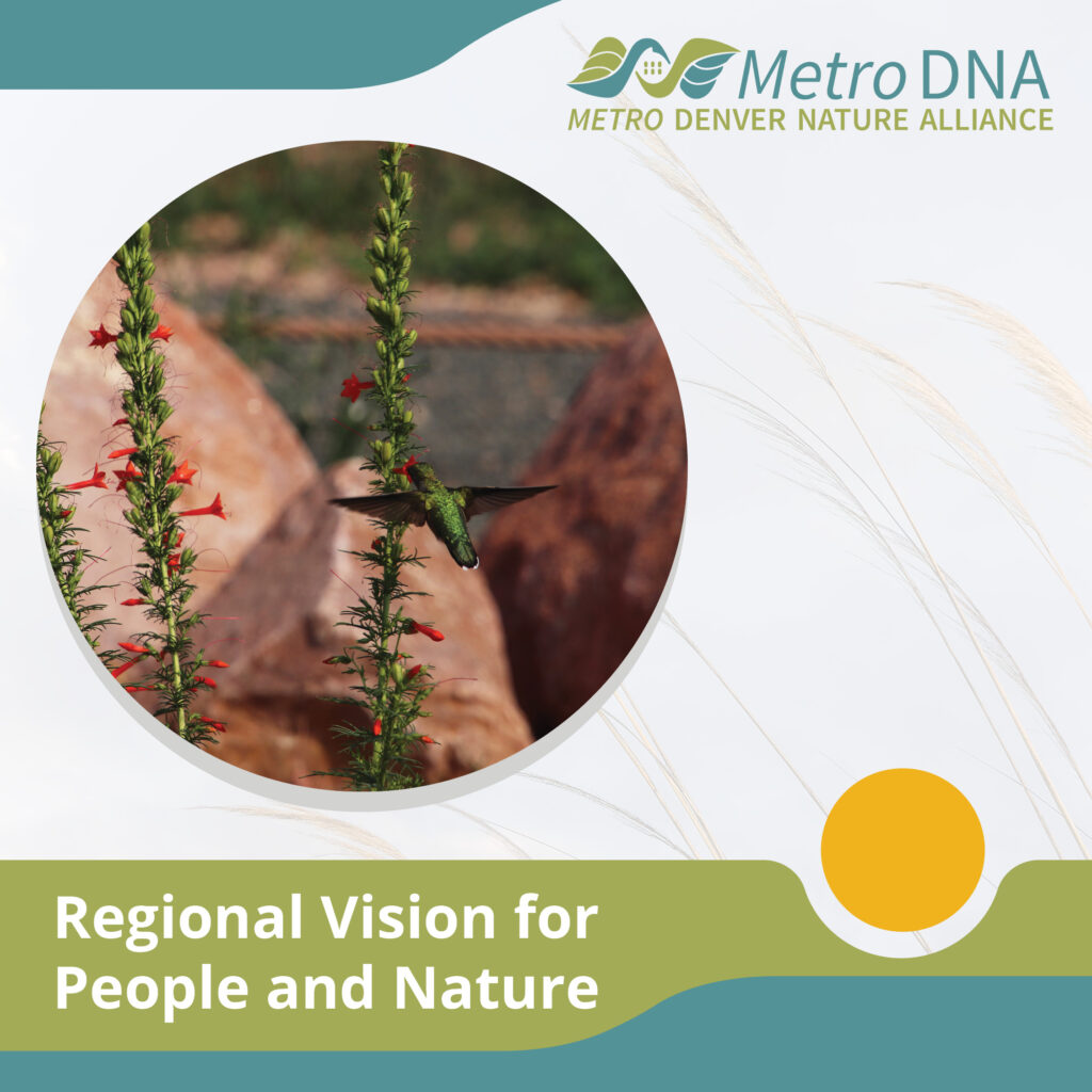 Metro Denver Nature Alliance Releases Regional Vision for People and Nature